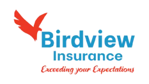 Birdview Insurance